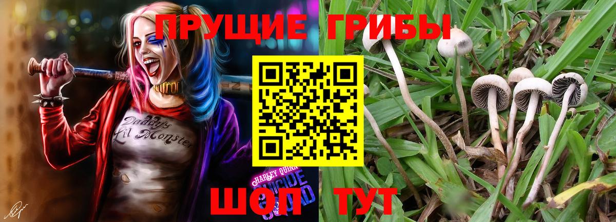 Псилоцибиновые грибы GOLDEN TEACHER Россошь