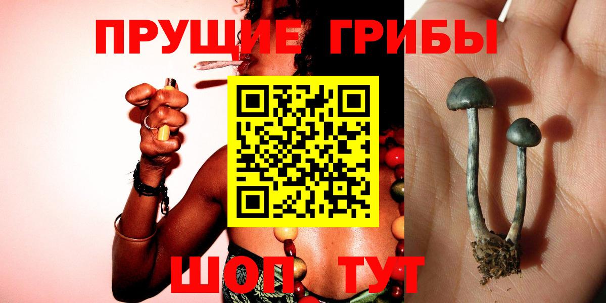 Псилоцибиновые грибы Magic Shrooms  Псилоцибиновые грибы Magic Shrooms  Вход с VPN  Россошь 
